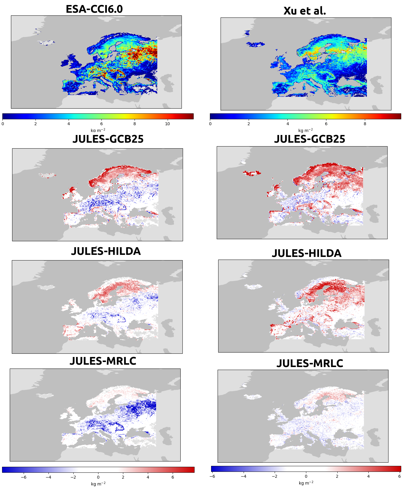 Vegetation carbon stocks and model bias